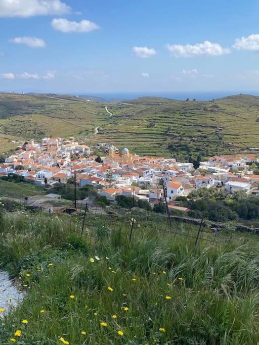 Κυθνος Δρυοπίδα, Στούντιο Χατζής Villa Dhriopis Bagian luar foto